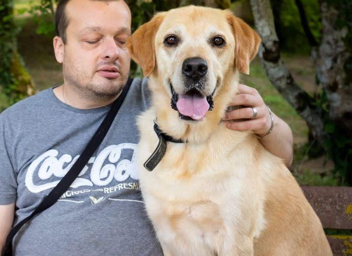 Une cagnotte solidaire pour un nouveau chien guide......