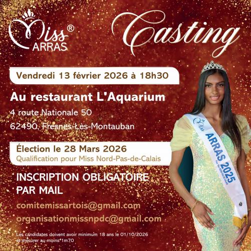 Un casting pour Miss Arras 2026