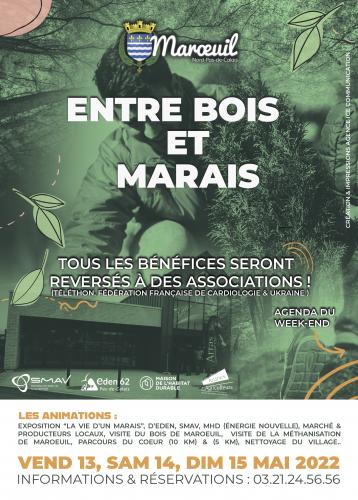 Entre bois et marais à Maroeuil