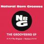Groove Bird