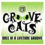 On In A Lifetime Groove