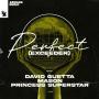 Perfect (Exceeder) (David Guetta Remix)